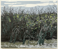 Schilf_1, 2025, Linolschnitt auf Leinwand, 60 X 70 cm