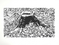Baumstumpf_1