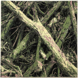 stapel_1_1000