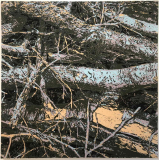 stapel_2_1000