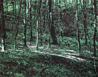 0156_streiflicht_1000