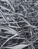Schilf im Wind 2, 2026, Linolschnitt auf Büttenpapier, Blatt 50 x 39,5 cm, Druck 39 x 30 cm