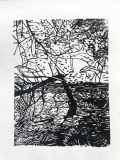 Westensee 2, 2023, Linolschnitt auf Japanpapier, Blatt 29,7 x 21 cm Druck 20 x 15 cm