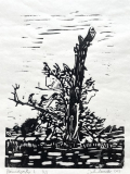 Himmelgeister 2, 2023, Linolschnitt auf Japanpapier, Blatt 29,7 x 21 cm Druck 20 x 15 cm